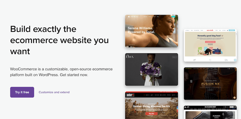 WooCommerce plugin