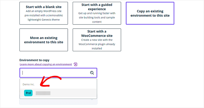 WP Engine copy production site