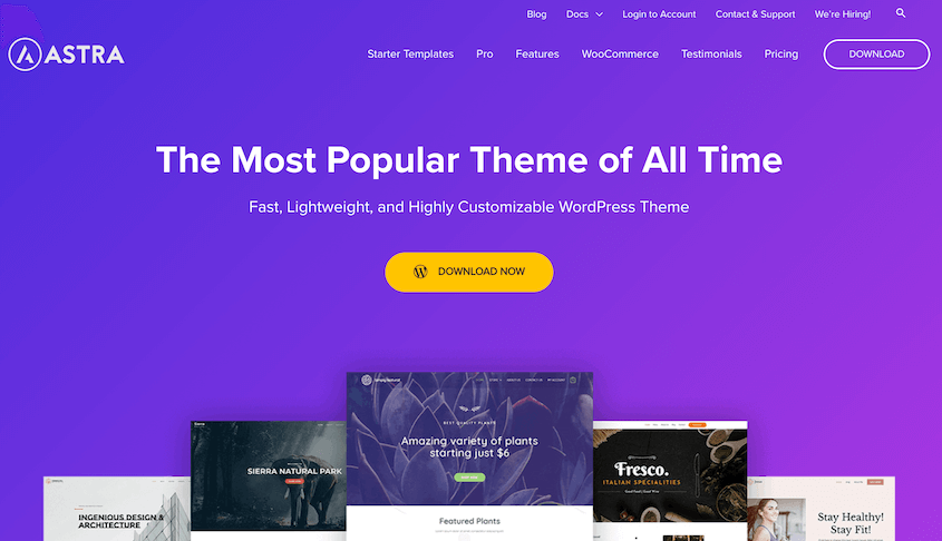 Astra theme
