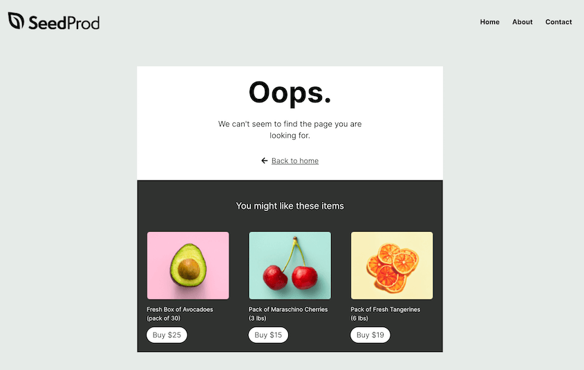 SeedProd 404 page
