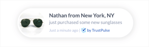 TrustPulse social proof