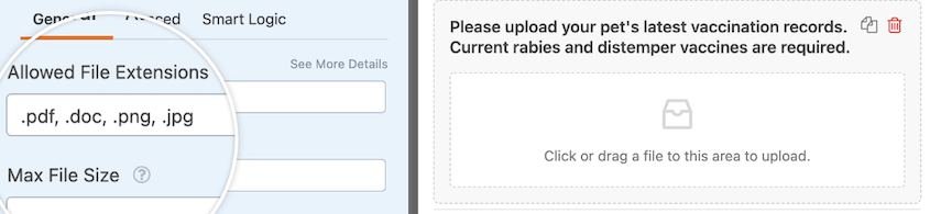 WPForms allowed file types