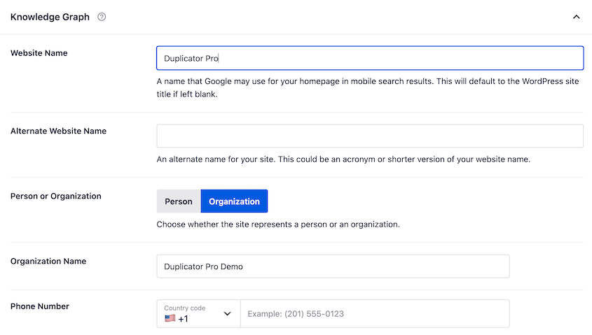 AIOSEO knowledge graph