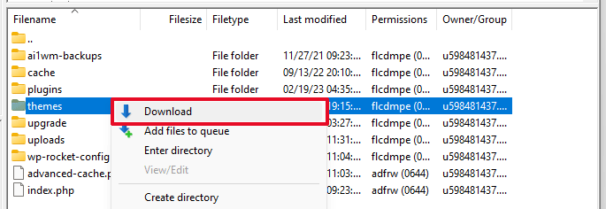 Download WordPress themes folder