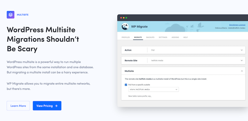 WP Migrate multisite feature
