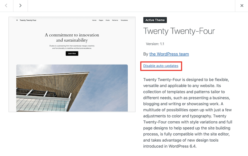 Disable WordPress auto updates for themes