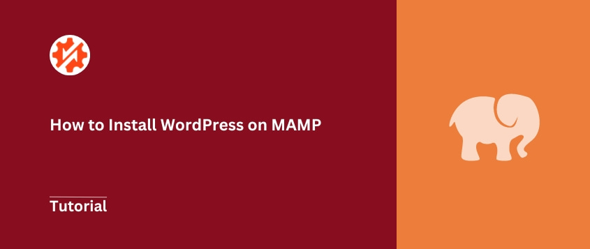 How to Install WordPress on MAMP for Local Development