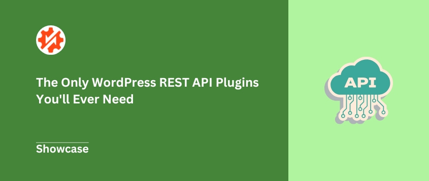 The Only WordPress REST API Plugins You’ll Ever Need